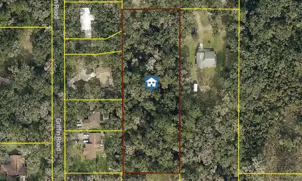 0 Griffin Road, Brooksville, FL, 34601