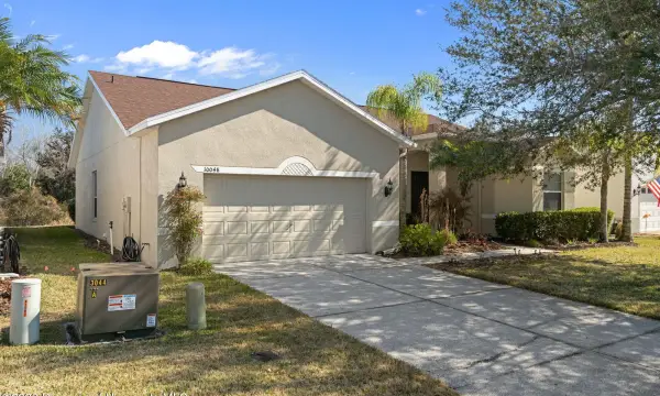 10048 Cleghorn Drive, San Antonio, FL, 33576