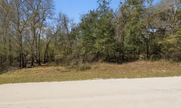 0 Smallman Street, Webster, FL, 33597