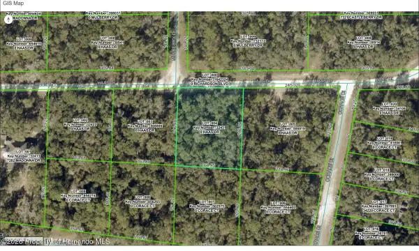 0 Haas Drive, Webster, FL, 33597