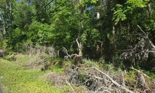 0 Fort Dade Avenue, Brooksville, FL, 34601