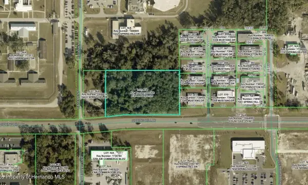 0 Spring Hill Drive, Brooksville, FL, 34604