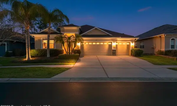 3303 Stonegate Falls Drive, Land O'lakes, FL, 34638