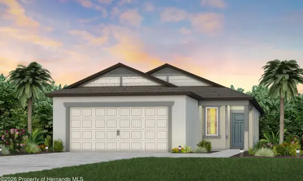 3831 Benham Rise Road, Spring Hill, FL, 34609