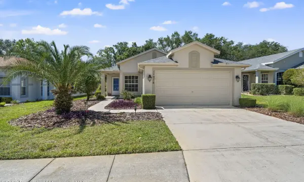 11078 Heathrow Avenue, Spring Hill, FL, 34609