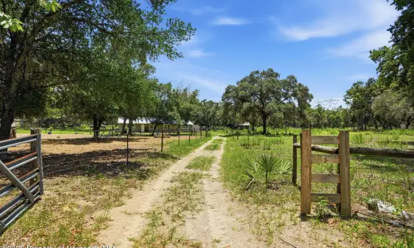 4187 Elwood Road, Spring Hill, FL, 34609