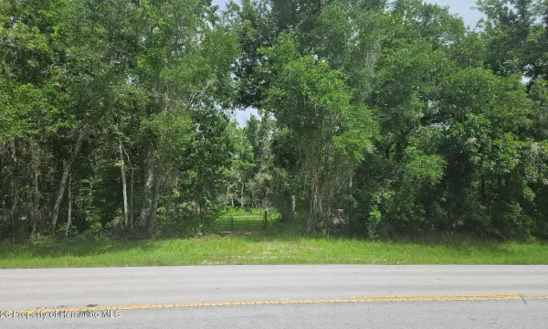 0 Cobb Road, Brooksville, FL, 34601