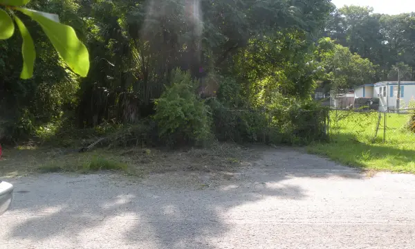11540 Altoona Avenue, New Port Richey, FL, 34654