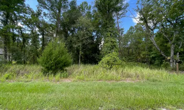 0 Thrasher Avenue, Weeki Wachee, FL, 34614