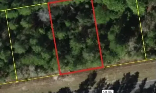 6407 W Oak Park Boulevard, Homosassa, FL, 34446