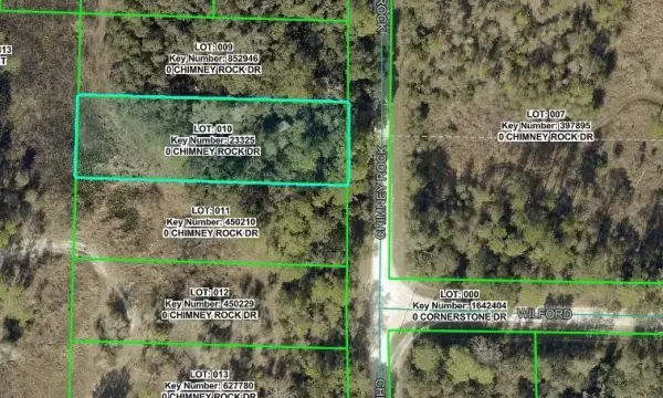 9111 Chimney Rock Drive, Webster, FL, 33597