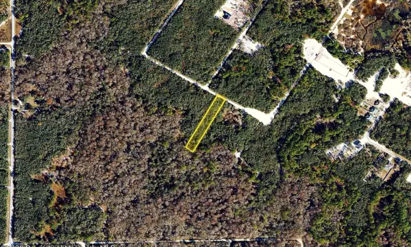 0 Medicine Stone Drive, Webster, FL, 33597