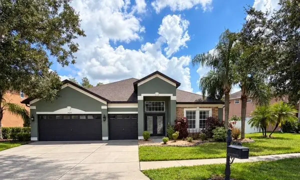 3124 Chessington Drive, Land O'lakes, FL, 34638
