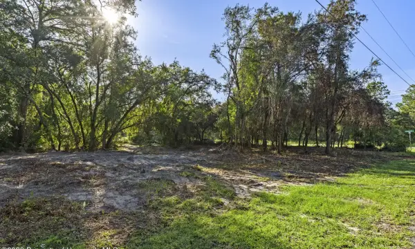 6669 W Cardinal Street, Homosassa, FL, 34446