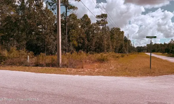 48 Glenridge Boulevard, Homosassa, FL, 34446