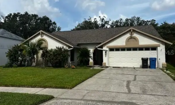 18330 Cypress View Way, Tampa, FL, 33647