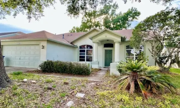 1135 Big Sky Drive, Wesley Chapel, FL, 33543
