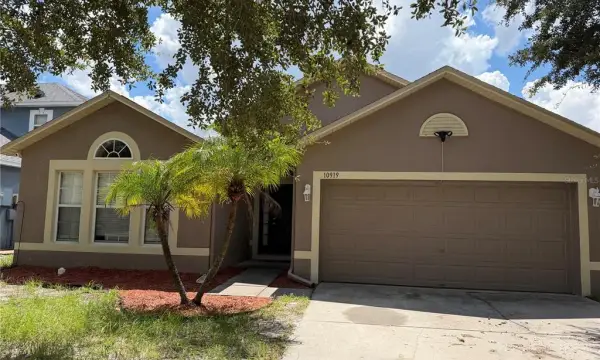 10919 Banyan Wood Way, Riverview, FL, 33579