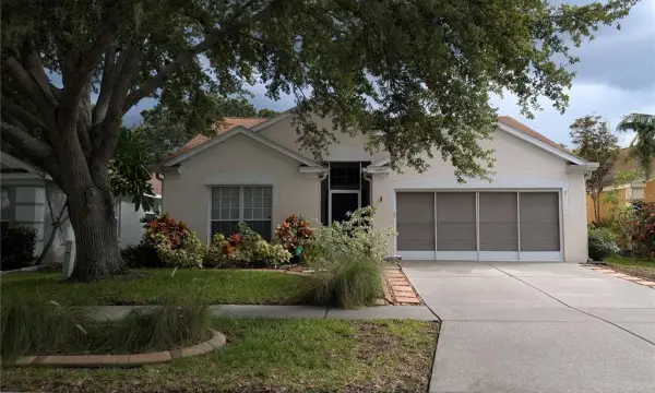 10507 Walker Vista Drive, Riverview, FL, 33578