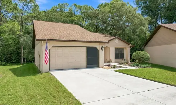 6810 Plumleaf Court, Spring Hill, FL, 34606