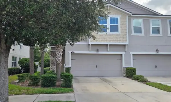 10322 Holstein Edge Place, Riverview, FL, 33569