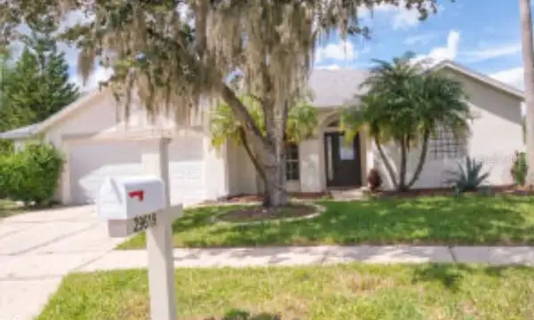 29619 Allegro Drive, Wesley Chapel, FL, 33543