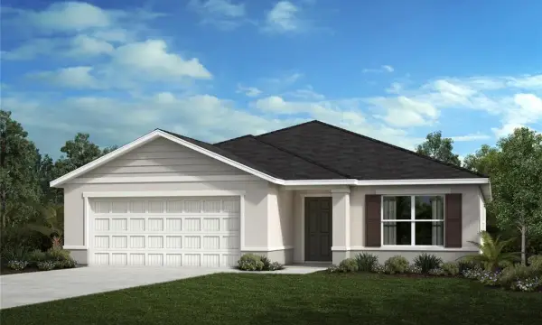 11682 Firespike Street, Riverview, FL, 33578