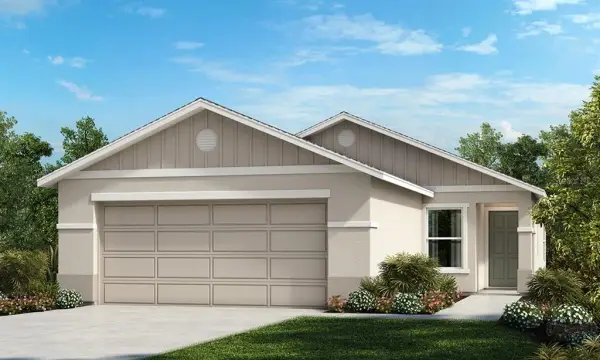 11734 Gerbera Daisy Loop, Riverview, FL, 33578