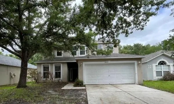 19222 Wood Sage Drive, Tampa, FL, 33647