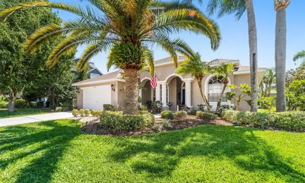 1819 Latelia Court, Trinity, FL, 34655