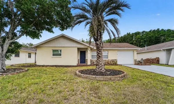 8332 Fishhawk Avenue, New Port Richey, FL, 34653