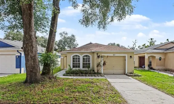 9823 Morris Glen Way, Tampa, FL, 33637