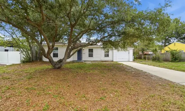 3003 N Adams Street, Tampa, FL, 33611