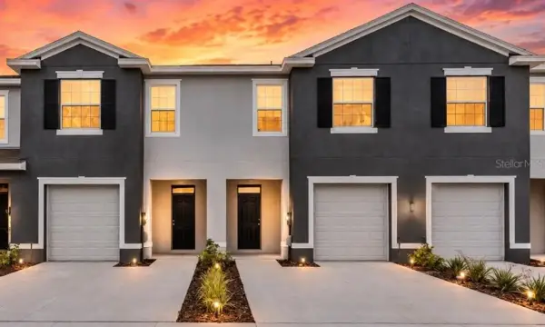 32202 Turtle Grace Loop, Wesley Chapel, FL, 33545