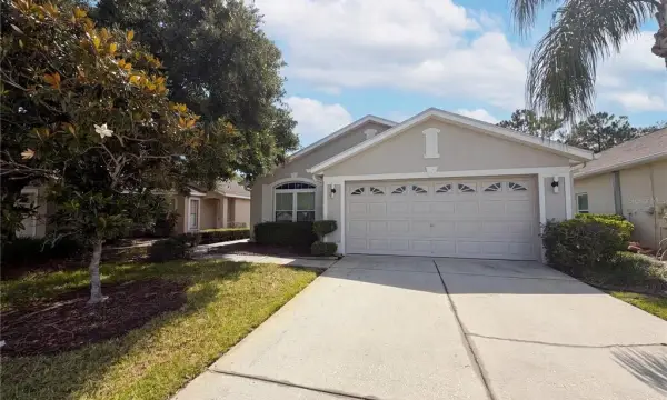 3133 Banyan Hill Lane, Land O Lakes, FL, 34639