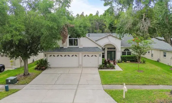 10217 Timberland Point Drive, Tampa, FL, 33647