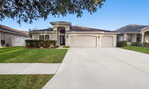 19606 Morden Blush Drive, Lutz, FL, 33558