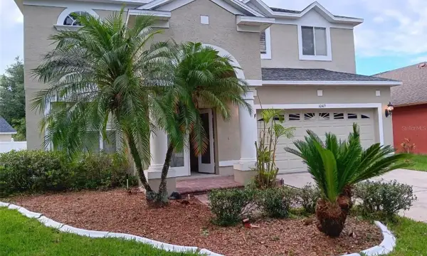 10415 Lucaya Drive, Tampa, FL, 33647