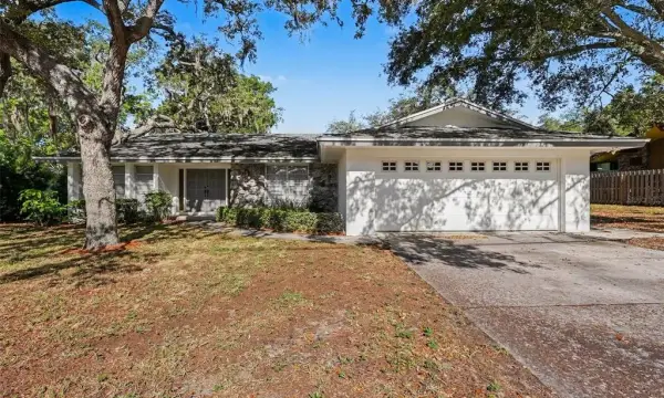 209 15th Street, Palm Harbor, FL, 34683