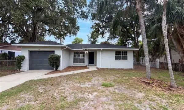 4209 E Alene Drive, Tampa, FL, 33617
