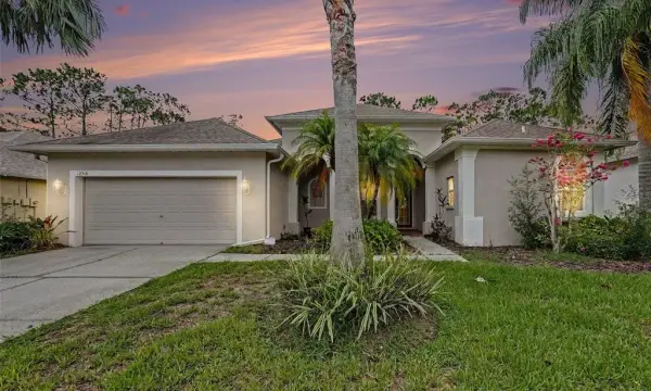 12516 Leatherleaf Drive, Tampa, FL, 33626