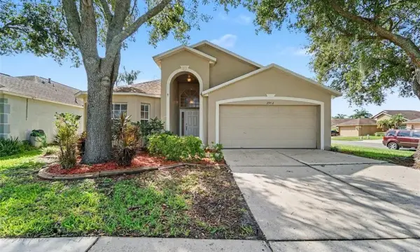 29412 Sea Dahlia Pass, Wesley Chapel, FL, 33543