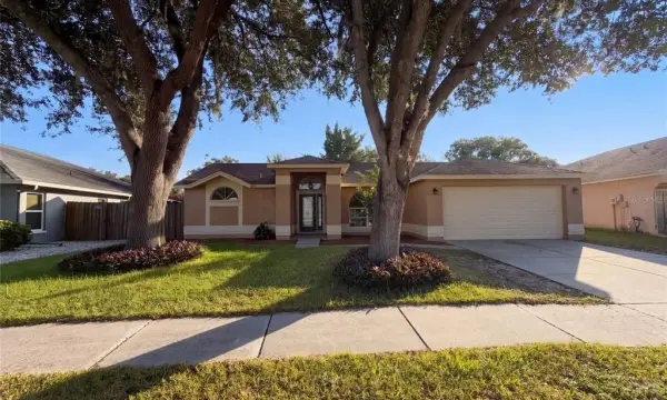 2330 Foggy Ridge Parkway, Land O Lakes, FL, 34639