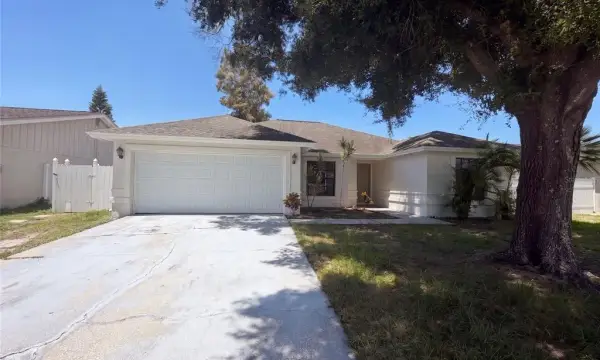 9507 Letterstone Court, Tampa, FL, 33615