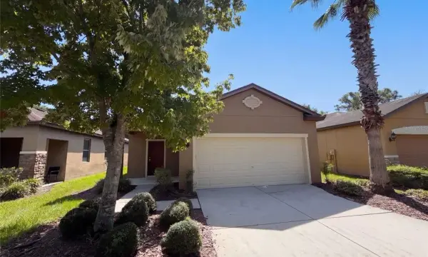6308 Magnolia Park Boulevard, Riverview, FL, 33578