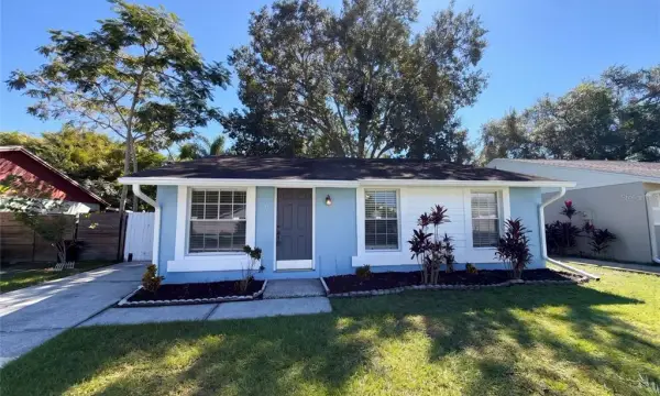 16005 Woodpine Drive, Tampa, FL, 33618