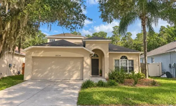 10234 Grant Creek Drive, Tampa, FL, 33647