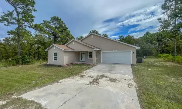 15316 Scaup Duck Avenue, Weeki Wachee, FL, 34614