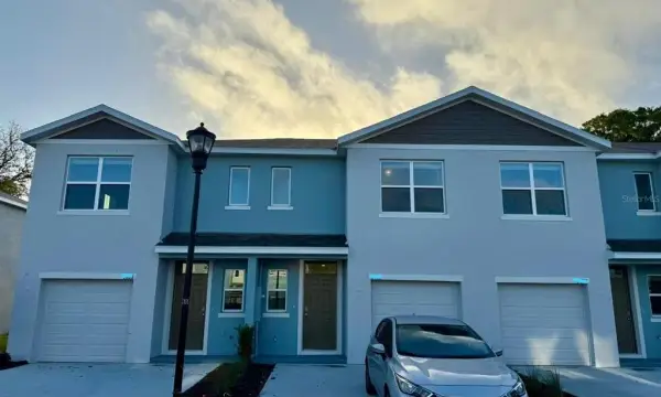 4461 Rachel Falls Drive, Tampa, FL, 33610