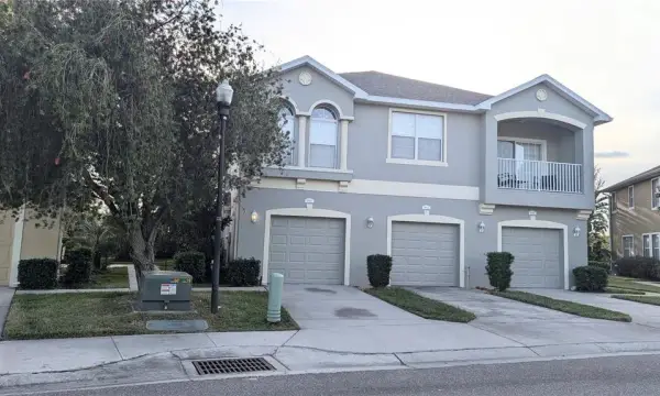 9060 Moonlit Meadows Loop, Riverview, FL, 33578